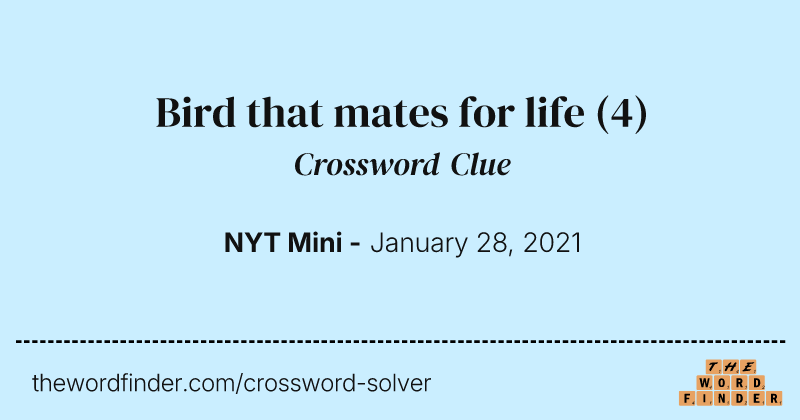 Bird that mates for life crossword clue image