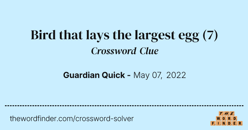 Bird that lays the largest egg crossword clue image