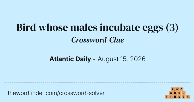 Bird whose males incubate eggs crossword clue image