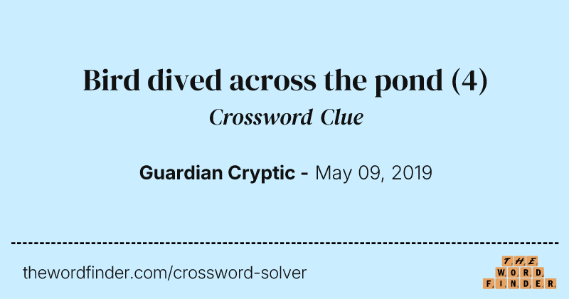 Bird dived across the pond crossword clue image