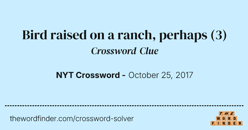 Bird raised on a ranch, perhaps crossword clue image