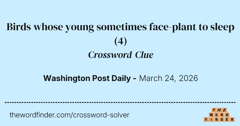 Birds whose young sometimes face-plant to sleep crossword clue image