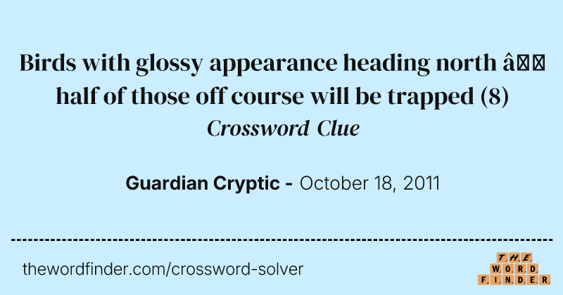 Birds with glossy appearance heading north — half of those off course will be trapped crossword clue image