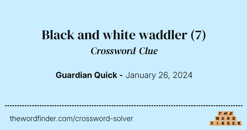 Black and white waddler crossword clue image