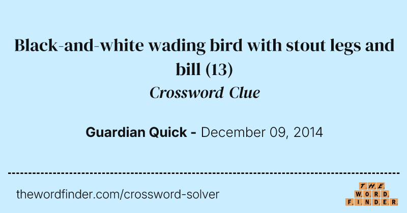 Black-and-white wading bird with stout legs and bill crossword clue image