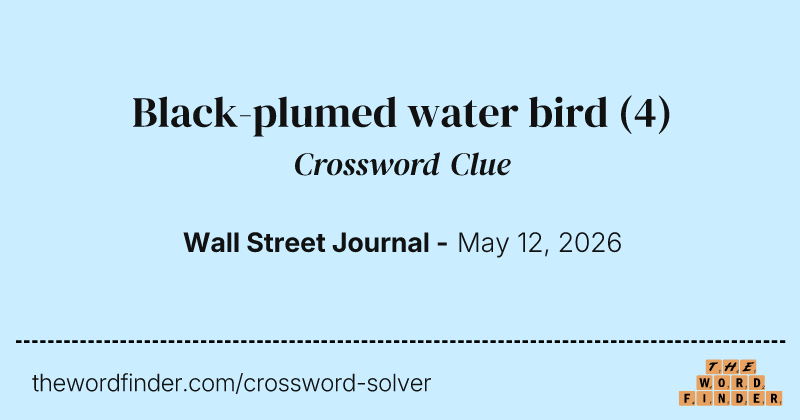 Black-plumed water bird crossword clue image