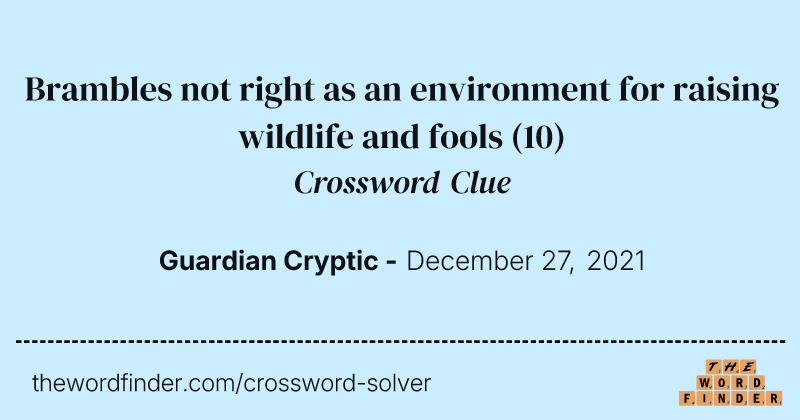 Brambles not right as an environment for raising wildlife and fools crossword clue image