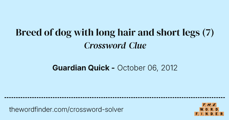 Breed of dog with long hair and short legs crossword clue image