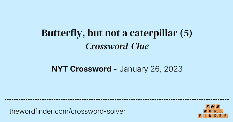 Butterfly, but not a caterpillar crossword clue image