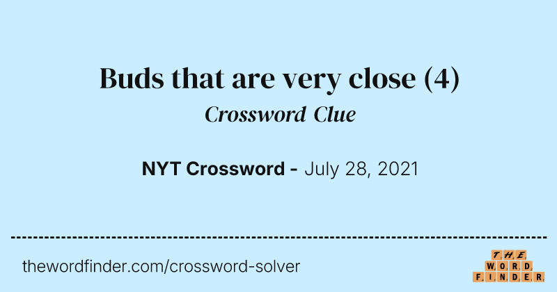 Buds that are very close crossword clue image