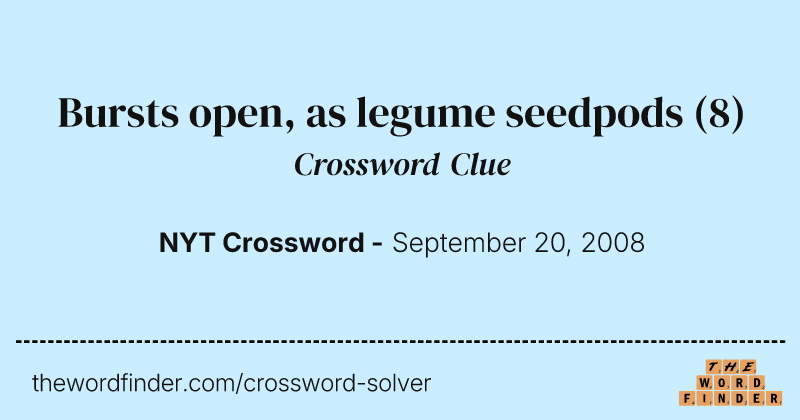 Bursts open, as legume seedpods crossword clue image