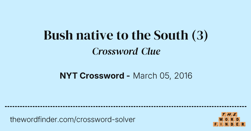 Bush native to the South crossword clue image