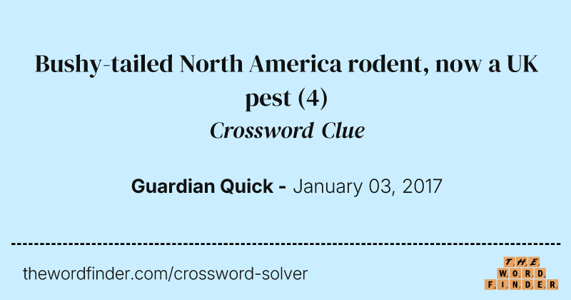 Bushy-tailed North America rodent, now a UK pest crossword clue image