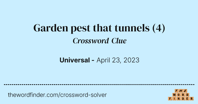 Garden pest that tunnels crossword clue image