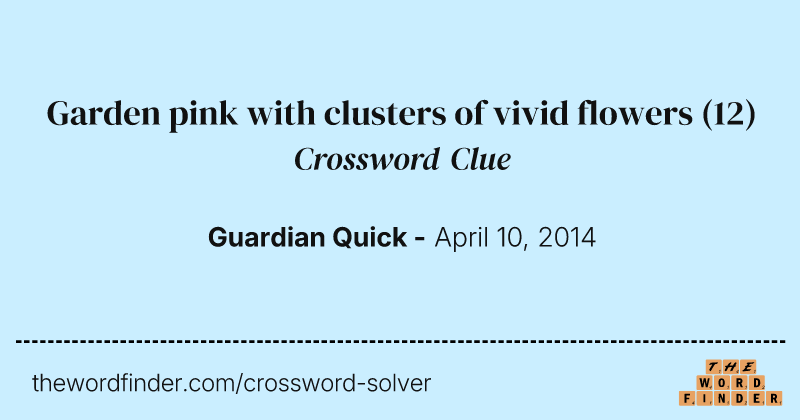 Garden pink with clusters of vivid flowers crossword clue image