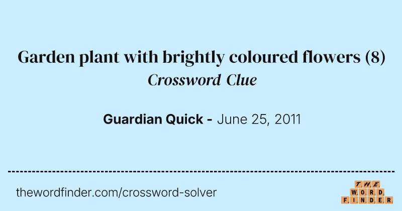 Garden plant with brightly coloured flowers crossword clue image