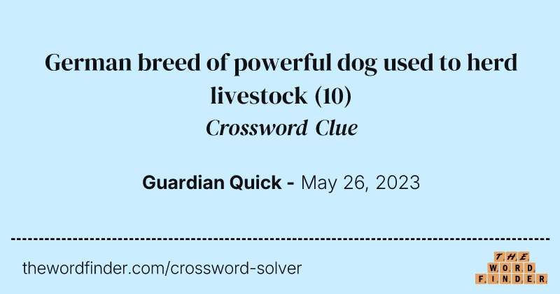 German breed of powerful dog used to herd livestock crossword clue image