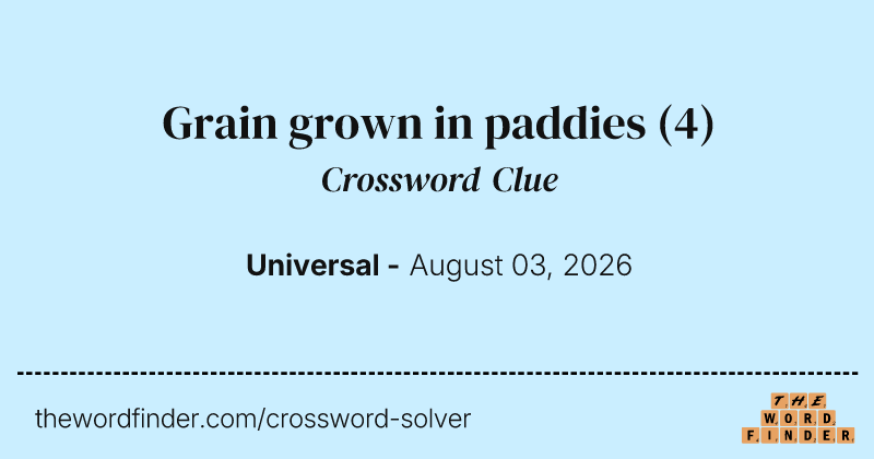 Grain grown in paddies crossword clue image