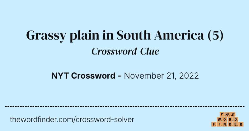 Grassy plain in South America crossword clue image