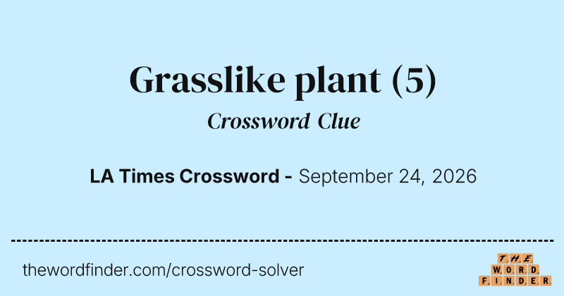Grasslike plant crossword clue image
