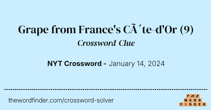 Grape from France's Côte-d'Or crossword clue image