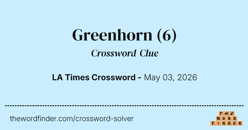 Greenhorn crossword clue image