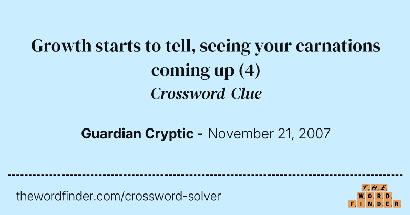 Growth starts to tell, seeing your carnations coming up crossword clue image