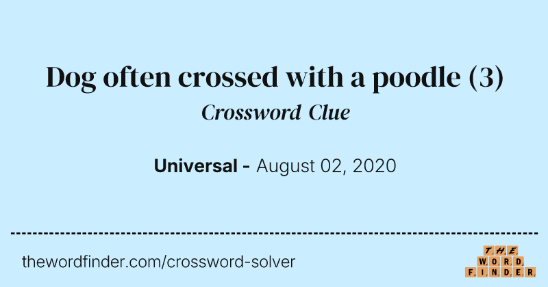 Dog often crossed with a poodle crossword clue image