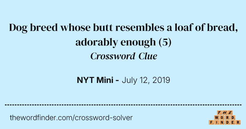 Dog breed whose butt resembles a loaf of bread, adorably enough crossword clue image