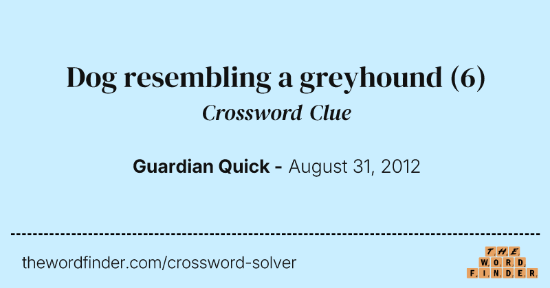 Dog resembling a greyhound crossword clue image