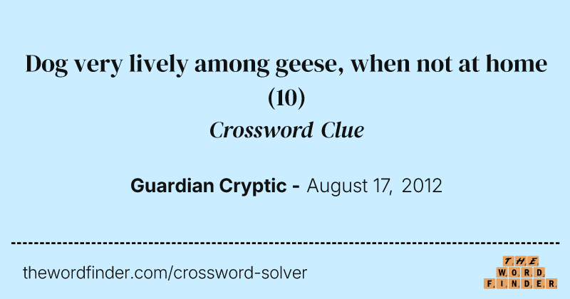 Dog very lively among geese, when not at home crossword clue image