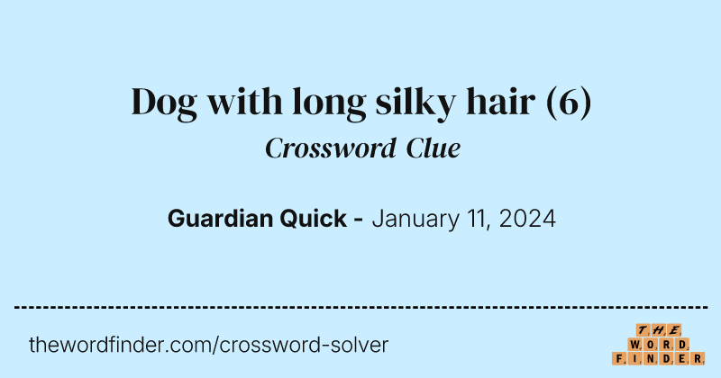 Dog with long silky hair crossword clue image