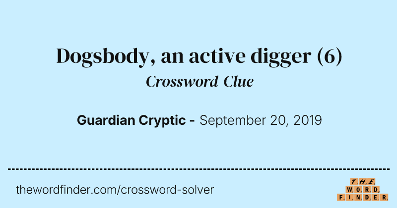 Dogsbody, an active digger crossword clue image