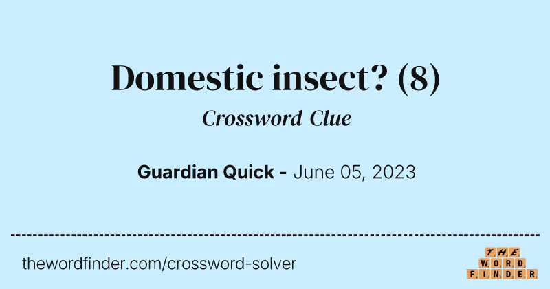 Domestic insect? crossword clue image