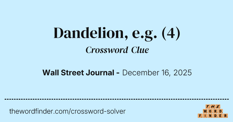 Dandelion, e.g. crossword clue image