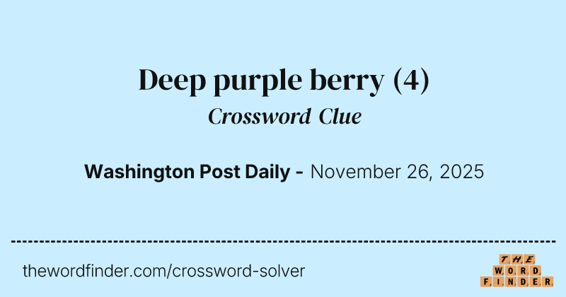 Deep purple berry crossword clue image