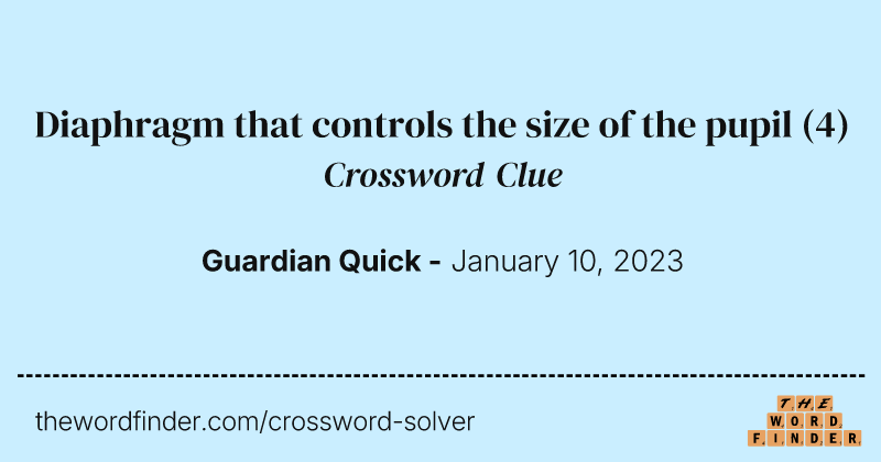 Diaphragm that controls the size of the pupil crossword clue image