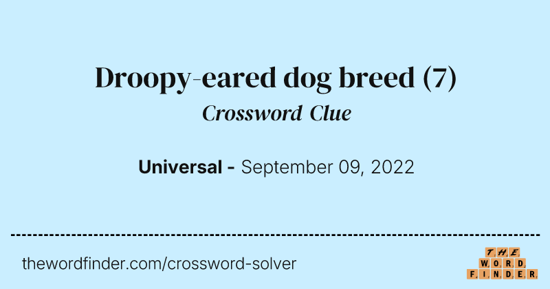 Droopy-eared dog breed crossword clue image