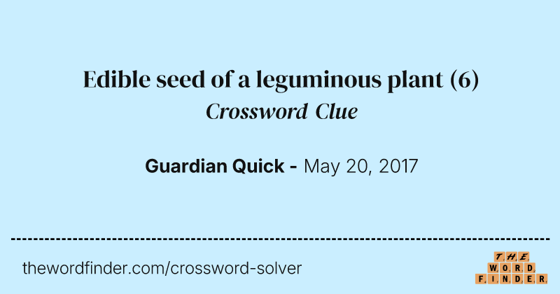 Edible seed of a leguminous plant crossword clue image