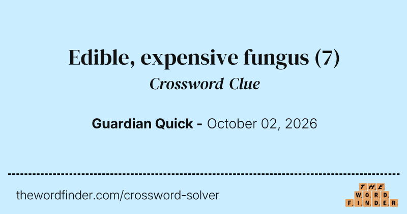 Edible, expensive fungus crossword clue image