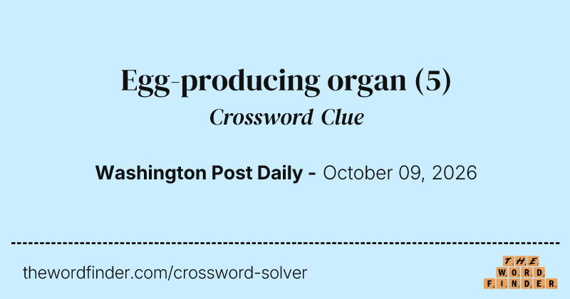 Egg-producing organ crossword clue image