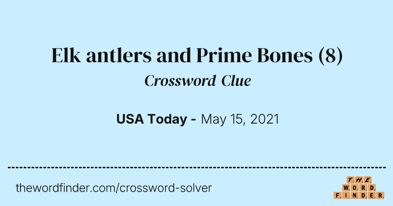 Elk antlers and Prime Bones crossword clue image