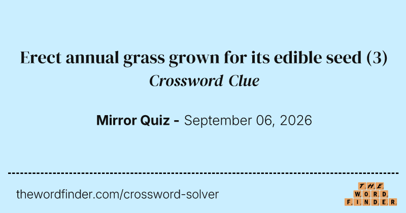 Erect annual grass grown for its edible seed crossword clue image