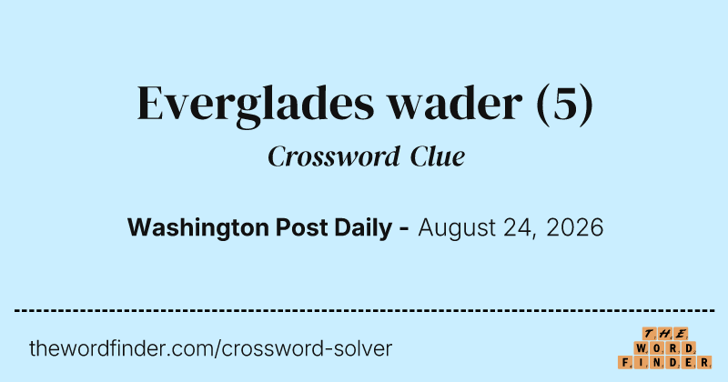 Everglades wader crossword clue image