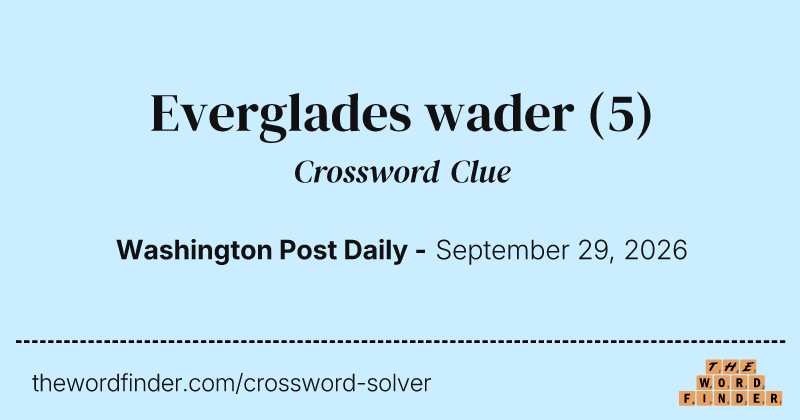 Everglades wader crossword clue image