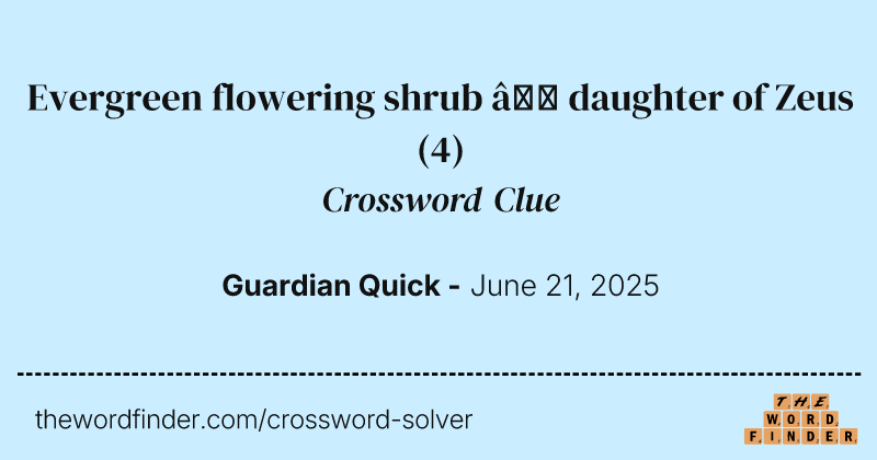 Evergreen flowering shrub – daughter of Zeus crossword clue image