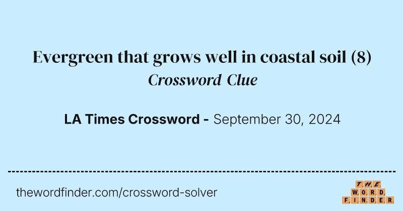 Evergreen that grows well in coastal soil crossword clue image