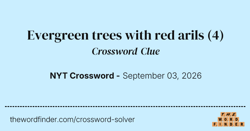 Evergreen trees with red arils crossword clue image