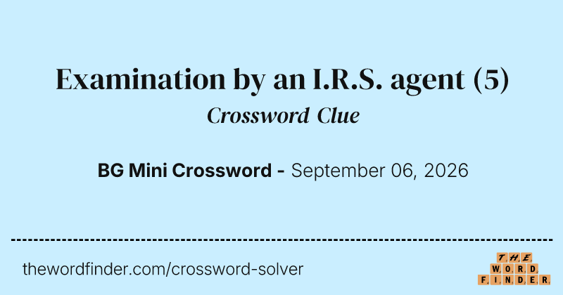 Examination by an I.R.S. agent crossword clue image