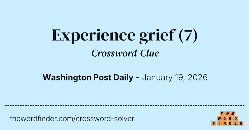 Experience grief crossword clue image